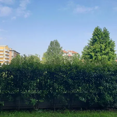 Minerva's Garden * 베로나